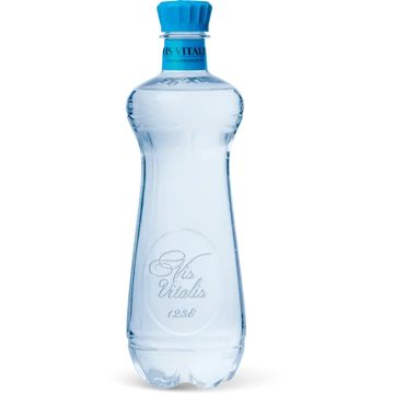 Vis Vitalis 0.6l Savas ásványvíz