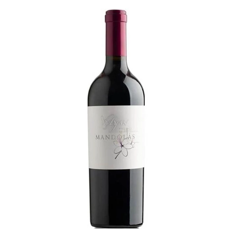 Vylyan Mandolás Cabernet Franc 2020 0.75l
